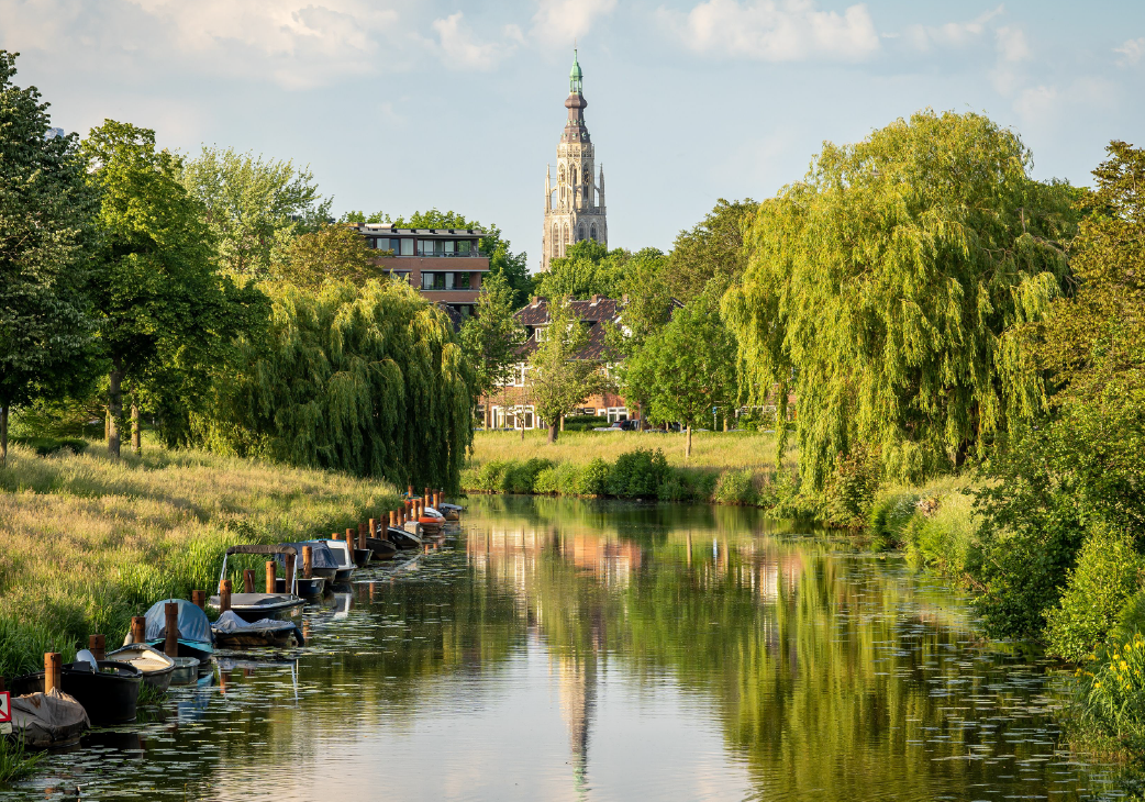 Motor Theorie Theoriecursus Breda