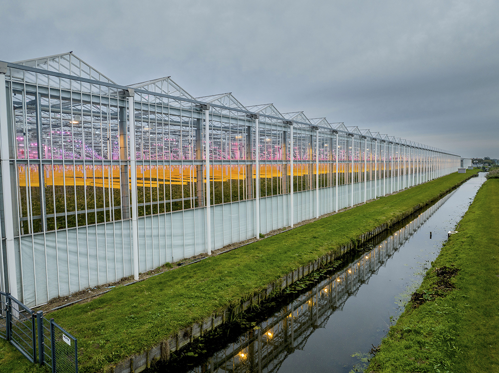 Westland Theorie Cursus