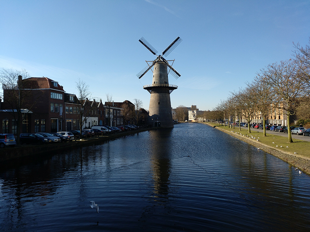 Schiedam Theoriecursus